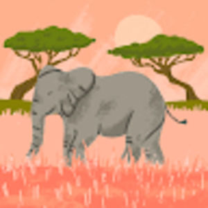 Meet your Posher, Audrey